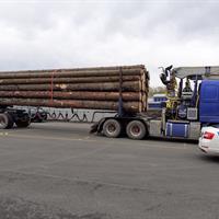 Kamion se dřevem a celnické auto